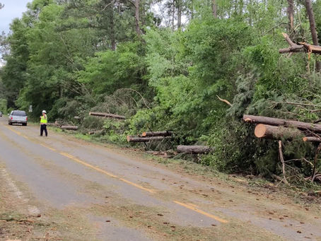 City of Meridian announces storm damage reporting deadline