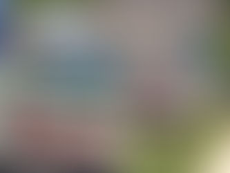 Meridian Ward 2 Residents Take To The Polls For Special Election