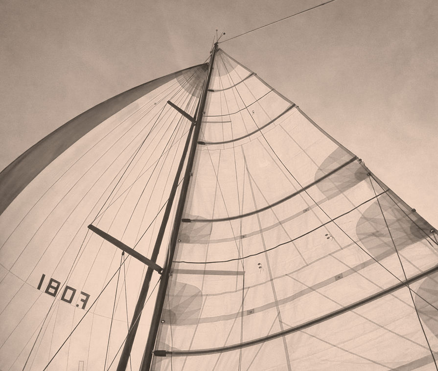 voiles vintages_edited.jpg