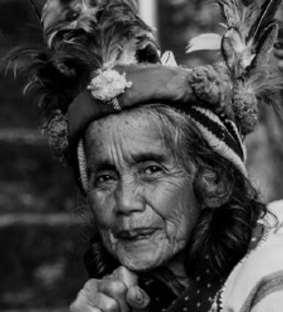 banauesite.jpg