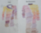 sketch for Autumn Splendor coat