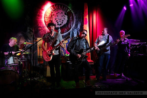 Livemusik-Konzert mit "Swamidemy"