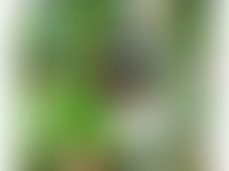 אקווריום ישראל