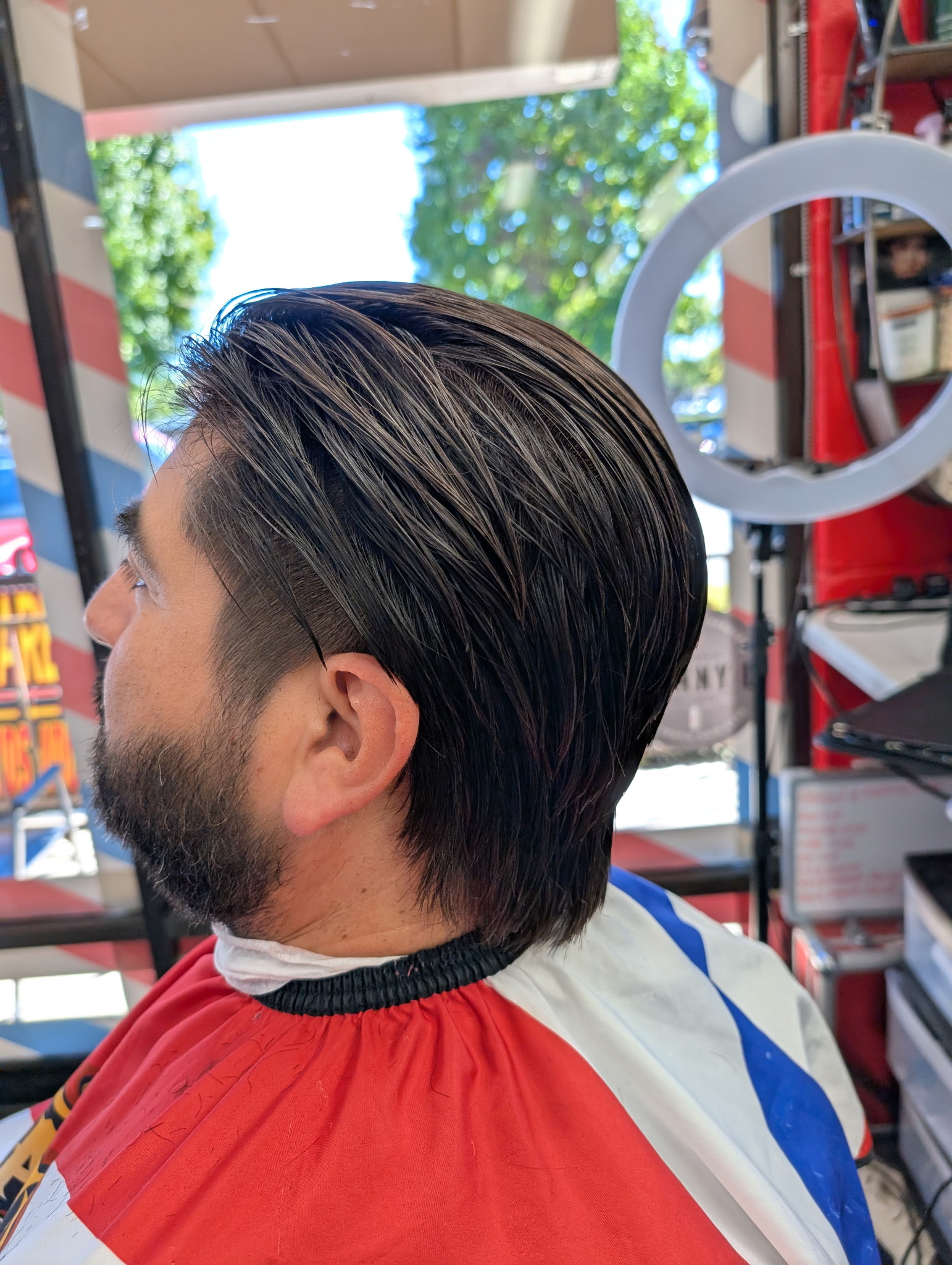 Professional grooming by Angela Barber Services