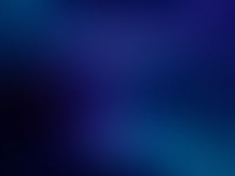 Still Life in the Echo Chamber