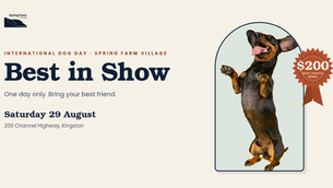 Best in Show: International Dog Day at Spring Farm Village