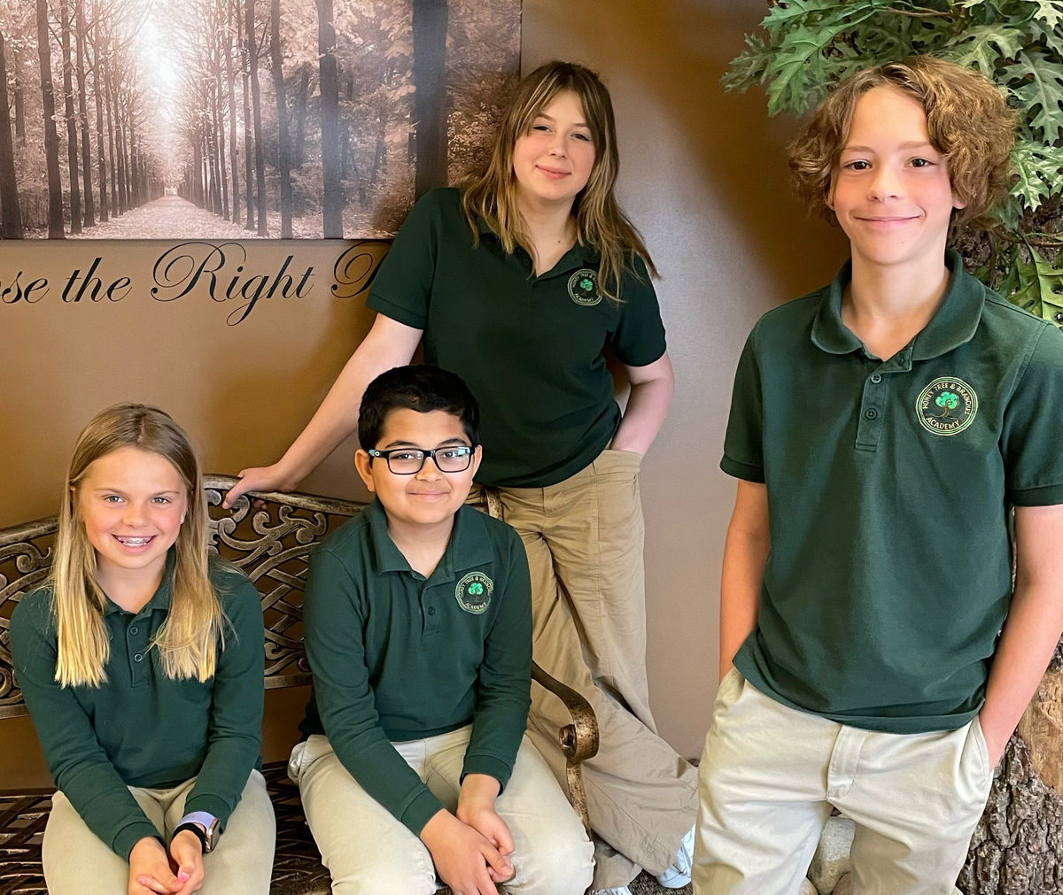 Branches Academy