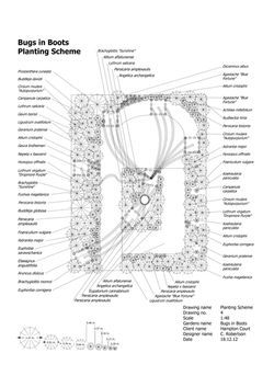 Жуки в ботинках
