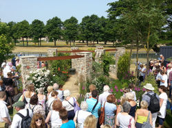 Жуки в ботинках