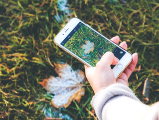 Fall Puns for Your Social Media Captions