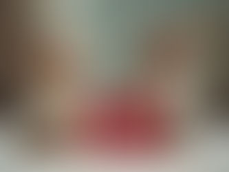 Guia Completo de Primeiros Socorros para Pets em Casa: O que fazer enquanto o veterinário não chega?