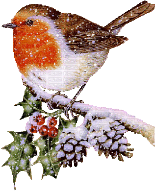 oiseau.gif