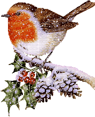 oiseau.gif