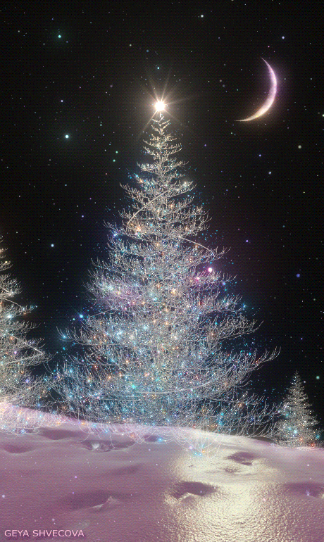 sapin 2.gif