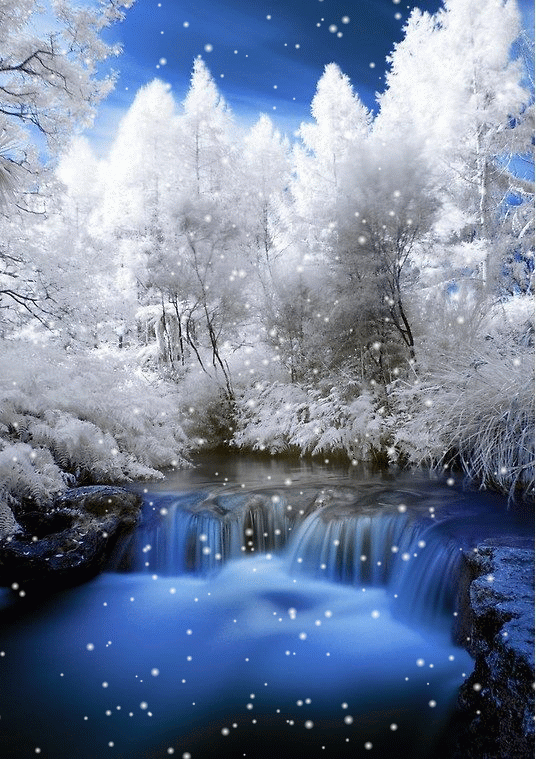 paysage 9.gif