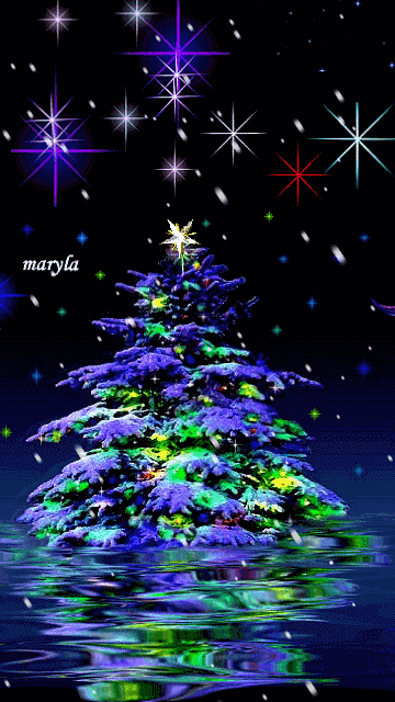 sapin 2.gif