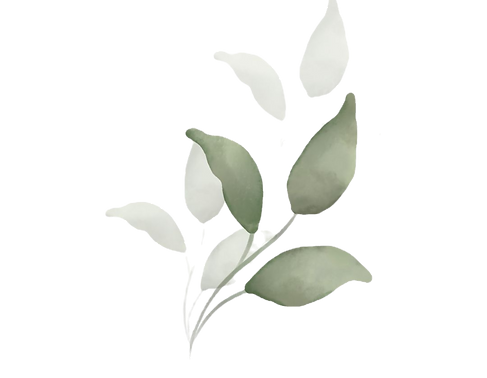 Leaf_edited.png