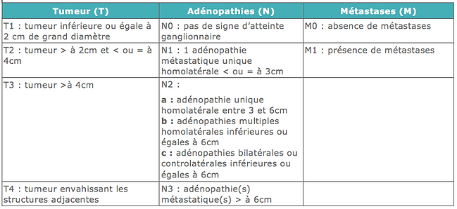 classification TNM cancer cavité buccale