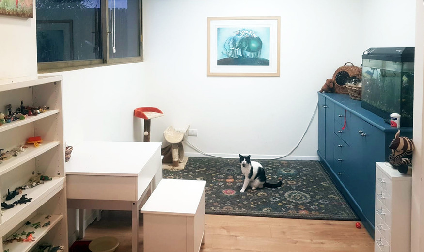 חדר טיפולים גדול