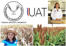 INVESTIGADORA UAT ELABORA PRODUCTOS NUTRICIONALES ANTIMICROBIANOS Y BIOCOMBUSTIBLE DEL SORGO