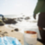 Beach Cleanup