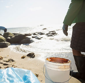 Beach Cleanup