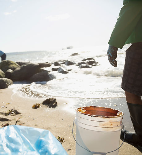 Beach Cleanup