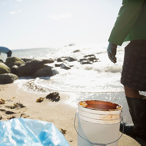 Beach Cleanup