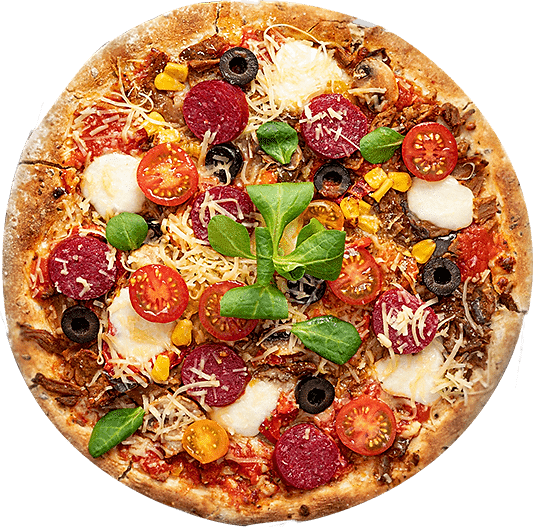 LES PIZZAS (base tomate)