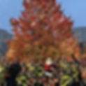 12D4175A-A3B7-4961-837C-7CCE26B8C7C1_edited.jpg