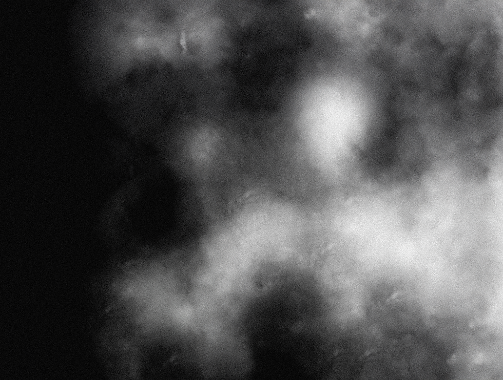 background.png