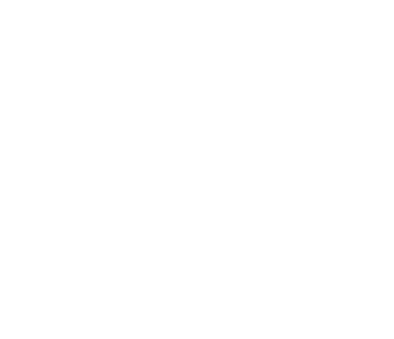 DOSA culture