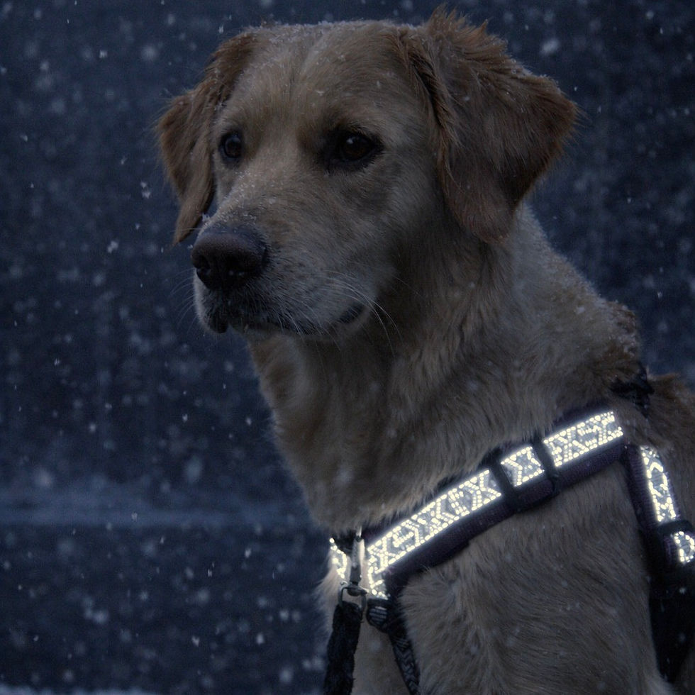 Pikkukuva: Extension "Småland"