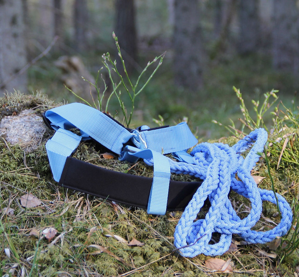 Miniatura: EXTENSION - S/S 2026! 