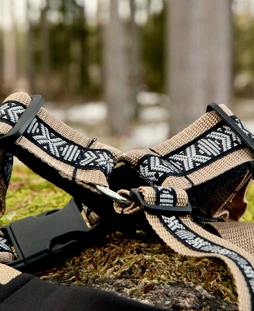 Pikkukuva: Extension "Småland"