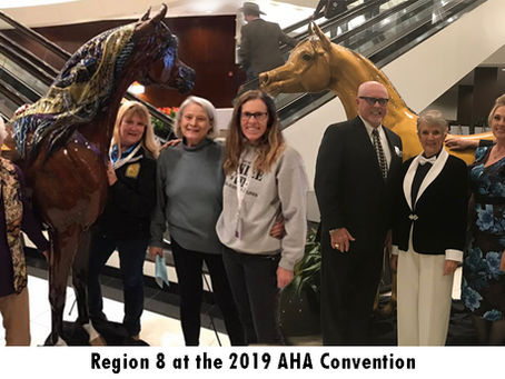 News from the 2019 AHA Convention