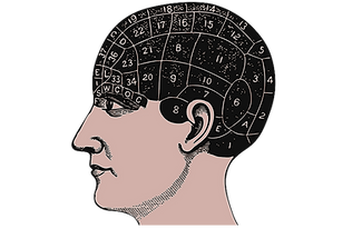 Image of phrenology mapped head