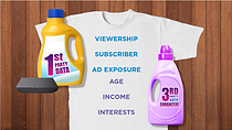 Screenshot from the Data Driven Audiences course showing data terms being scrubbed from a tshirt