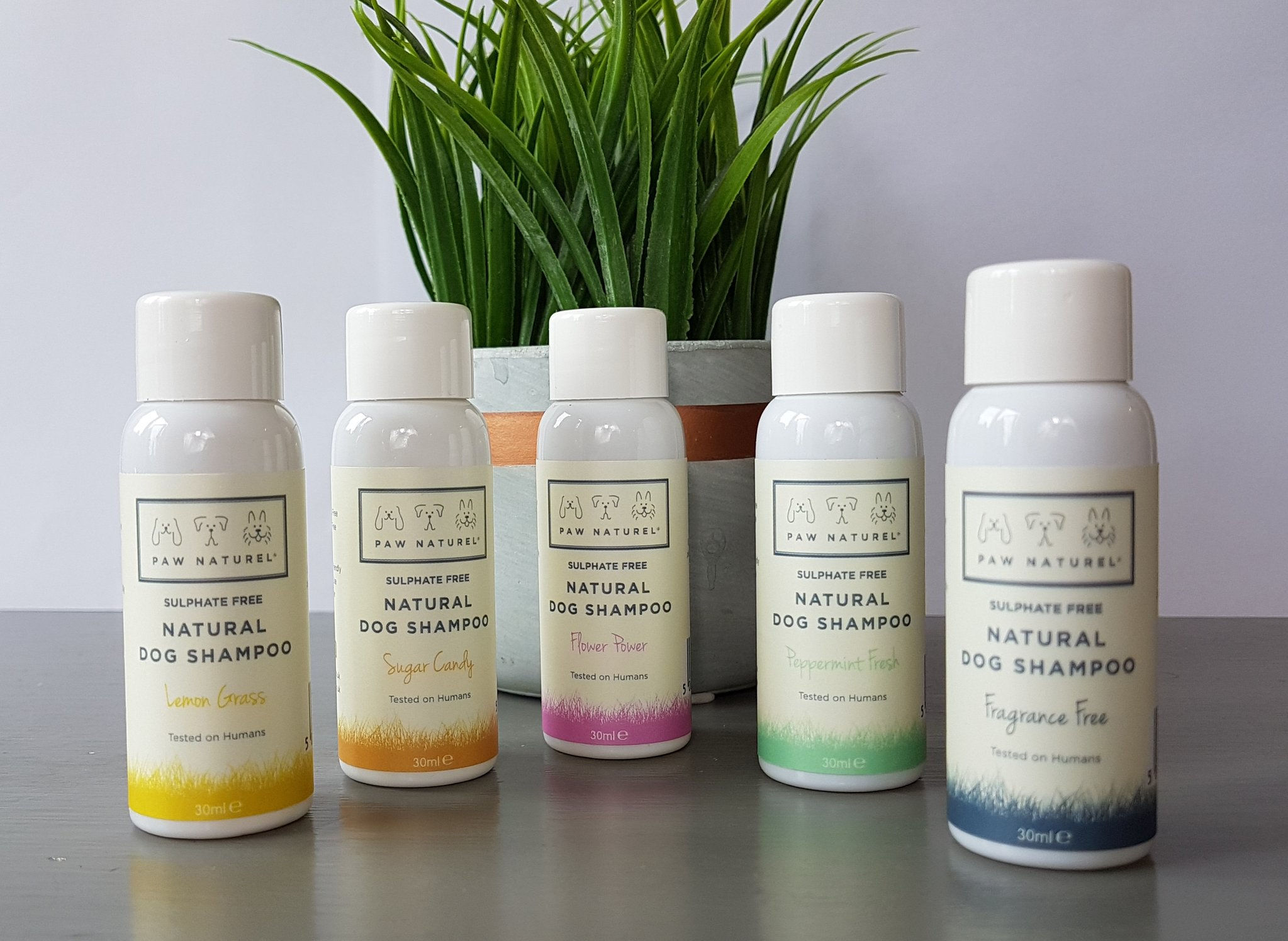 30ml Sample Shampoo Pack