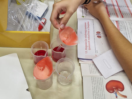 Voda koju pijemo - eksperimentalna i  istraživačka nastava na satu biologije u 8. razredima