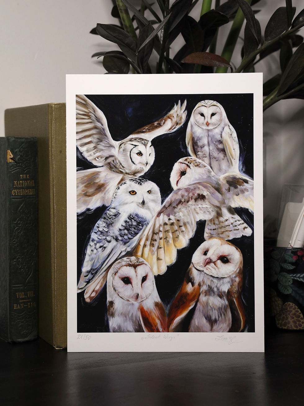 Thumbnail: Silent Wings - Limited Edition Print