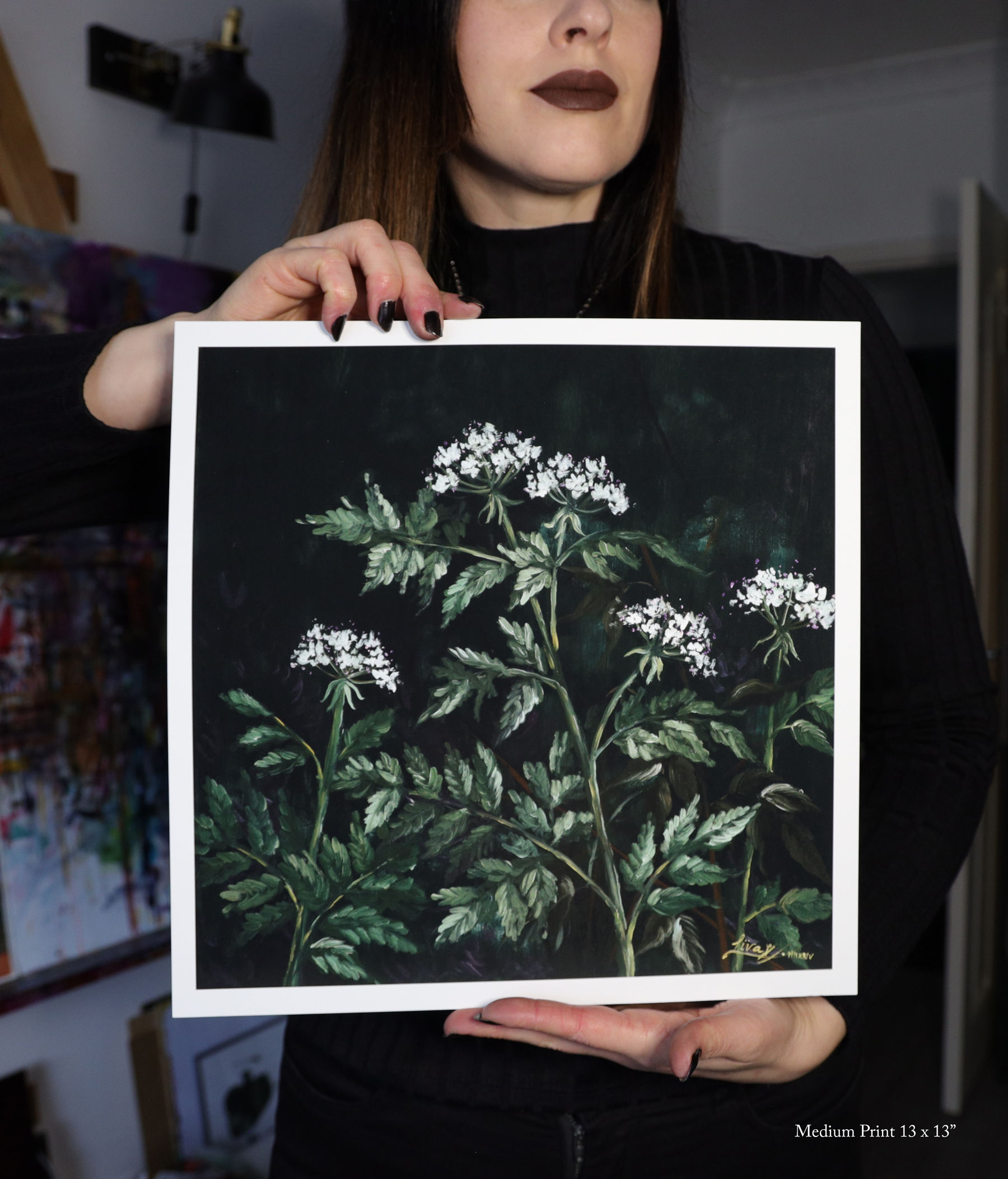 Fools Parsley Print