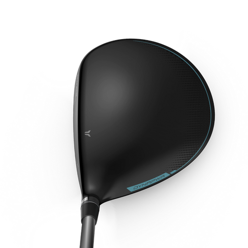 Wilson Dynapower Tittanium Ladies Driver | Big Mikes Golf