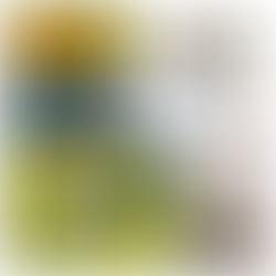 Collage with seagulls on driftwood, a landscape painting, digital bird art, and a floral arrangement. Text: Take Part in Art.