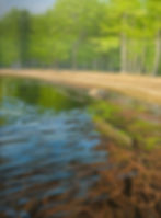 Oil painting by Maine artist Kelly Ufkin that depicts a serene lakeshore scene with rippling blue water, a sandy beach, and lush green trees. Rocks are on the shore. Signature: Kelly Ufkin.