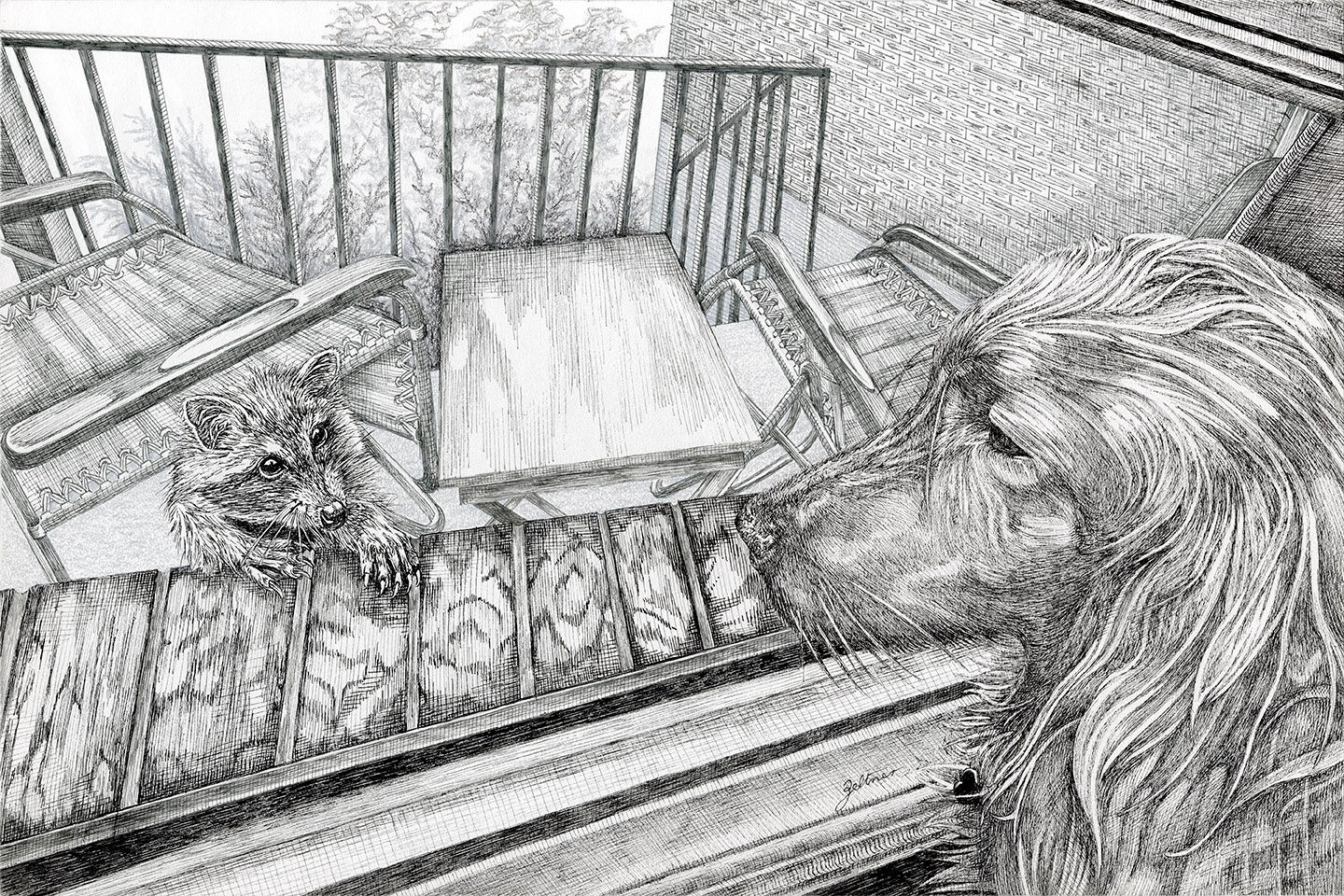 Fern and Raccoon