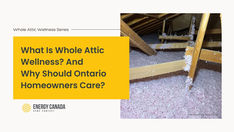 What Is Whole Attic Wellness—and Why Should Ontario Homeowners Care? - series by energy canada home comfort