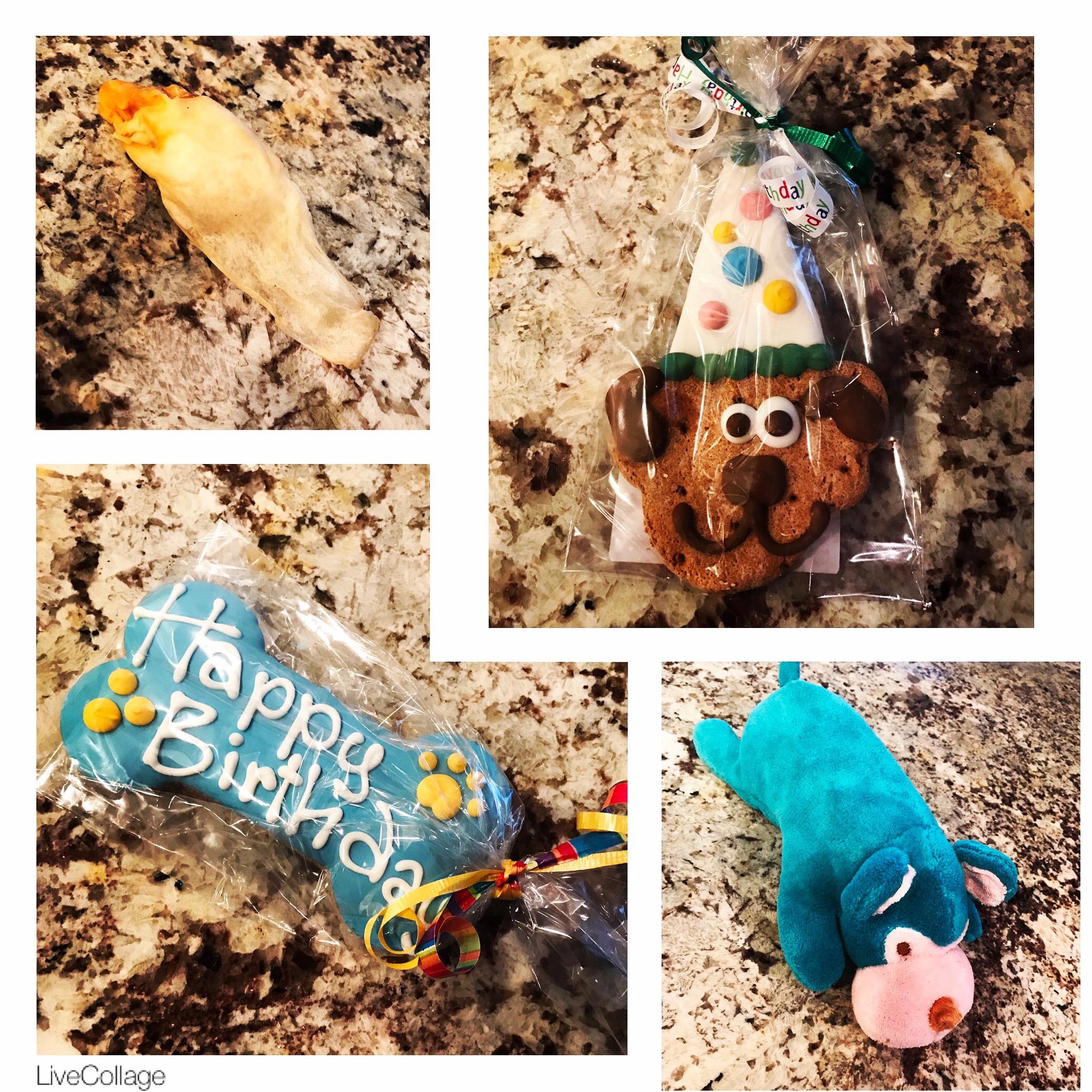 dog birthday presents dogs love treats and toys and happy birthday cookies