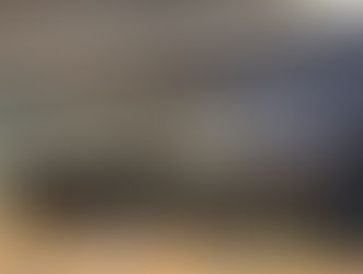 IBREI en la 186ª reunión del G100