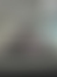 Comissão de Estudantes: uma visita técnica ao emblemático Palácio dos Bandeirantes